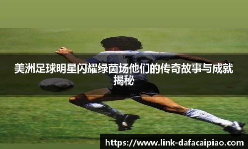 美洲足球明星闪耀绿茵场他们的传奇故事与成就揭秘
