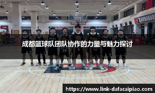 成都篮球队团队协作的力量与魅力探讨